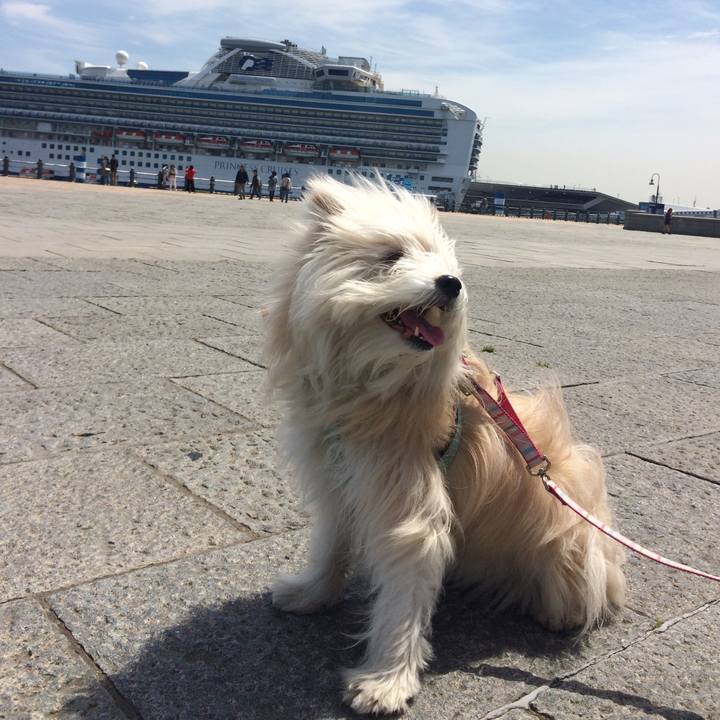 2e6e0fec b287 43ee 948a 391434b807e3