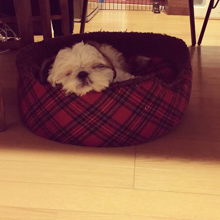 2e6e1026 18ab 4b16 8f6b 6177e7c0d5eb