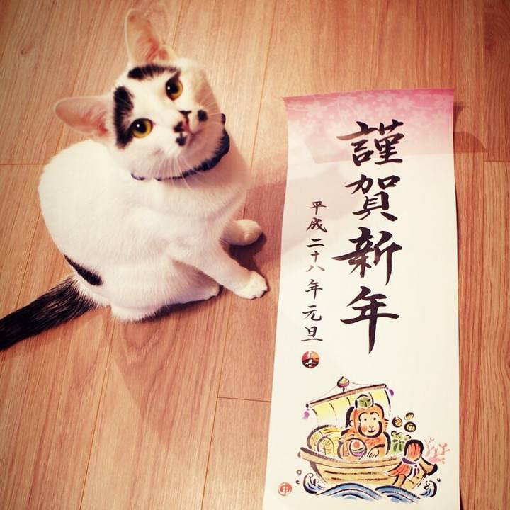 2e6e873d f324 4158 b537 0507effad119