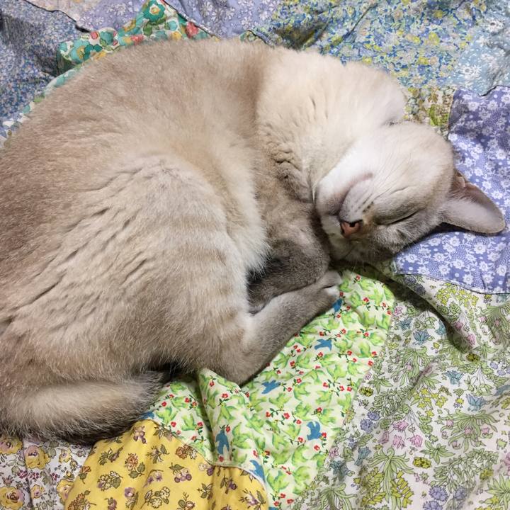 2e6f2cbe 028f 46c6 9cf8 54f116e07867