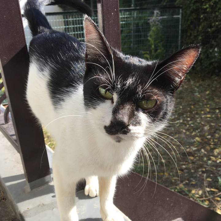 2e6f43d3 9644 4bb6 8fd7 011540f1f178