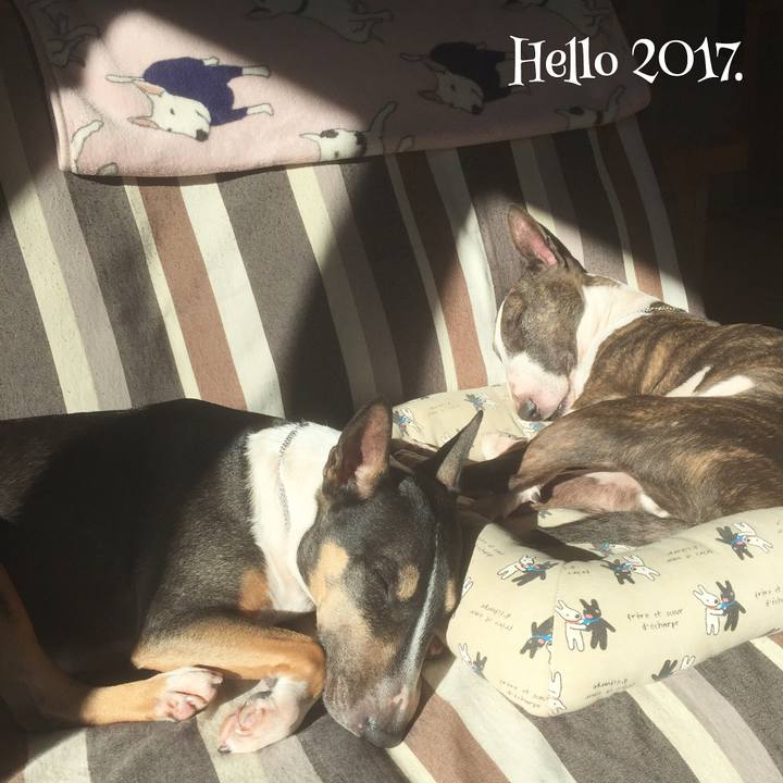 2e6f5e9b 06f9 4975 b9a2 4a84f263101c