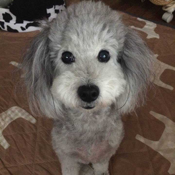 2e6f7d40 3e51 44ad b5cf e302138fe4f0