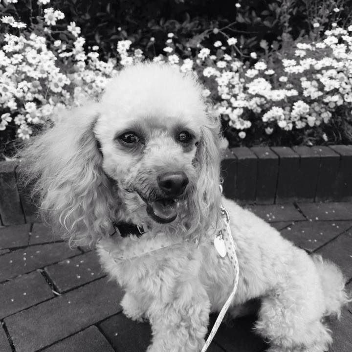 2e716ed4 d9db 4340 aa3b 09a6fdb4819f