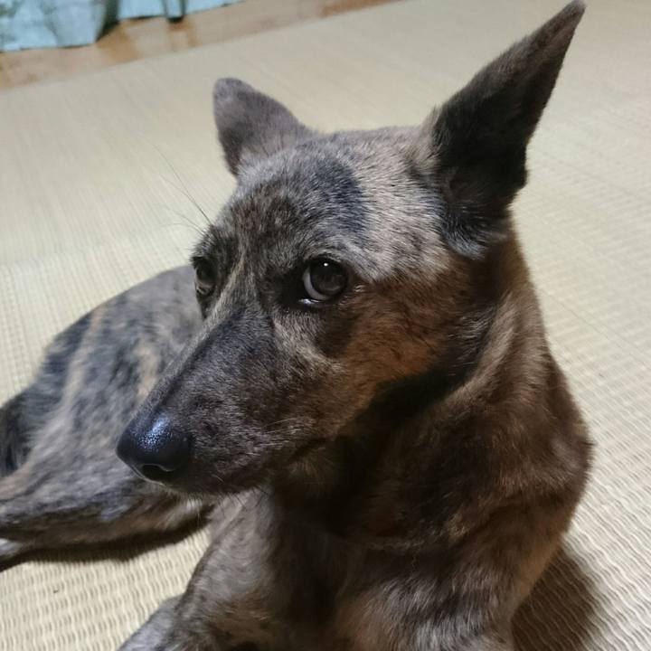 2e72cdd2 cabc 4ecc ad70 4ca7d571b22e