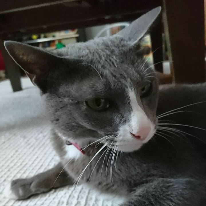 2e731b0d c6bd 463c 8e91 9530d1209938