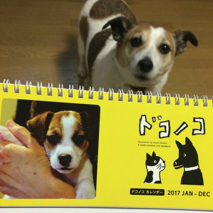 2e733de2 736e 4858 9966 7f4ee6914fd4