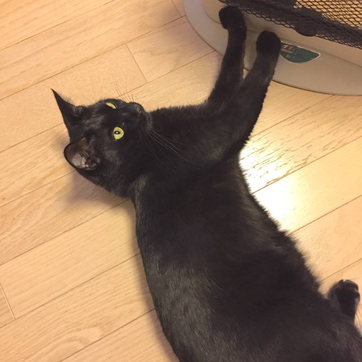 2e735ec8 b7e3 46d0 8350 231b6692f513