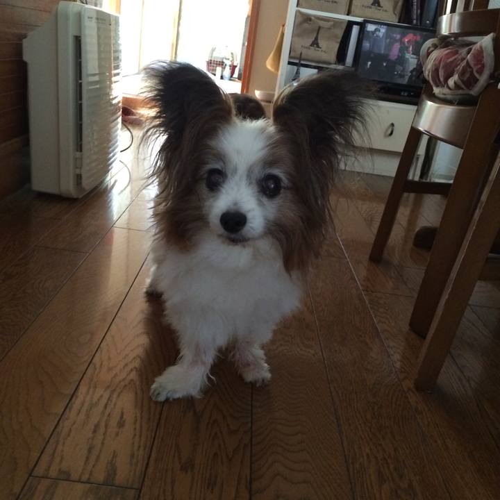 2e73aaf0 9d5a 4db9 983d 999106f7e855