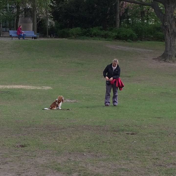 2e73ddca 636a 42a2 9085 b652e2ea8510