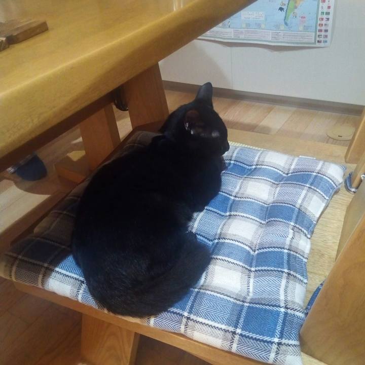 2e73efd9 3849 4b24 8bb9 2d2ac350ec62