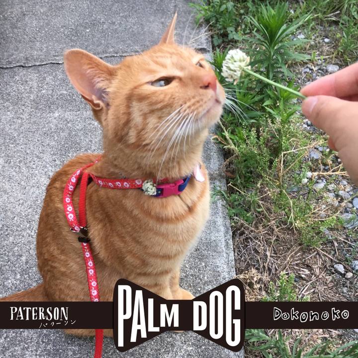 2e73ff27 1d58 4f54 9b6c 7c83596d6f33