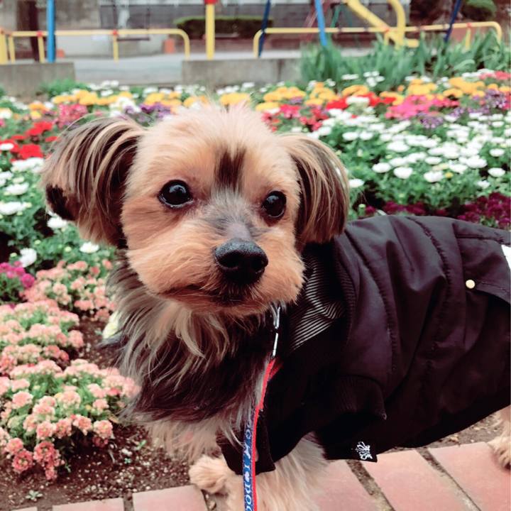 2e73ff39 7b23 48d0 b9ed bc0291025399