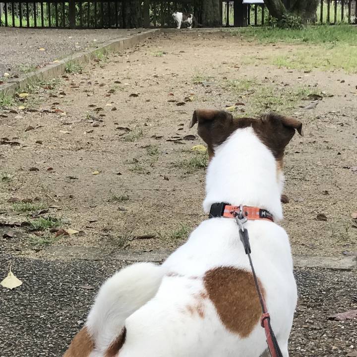 2e747920 1fa5 4959 b3ca 8de440384a7e