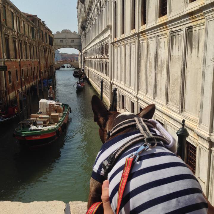 2e749628 944e 4f75 936e ec2ef8ecd094