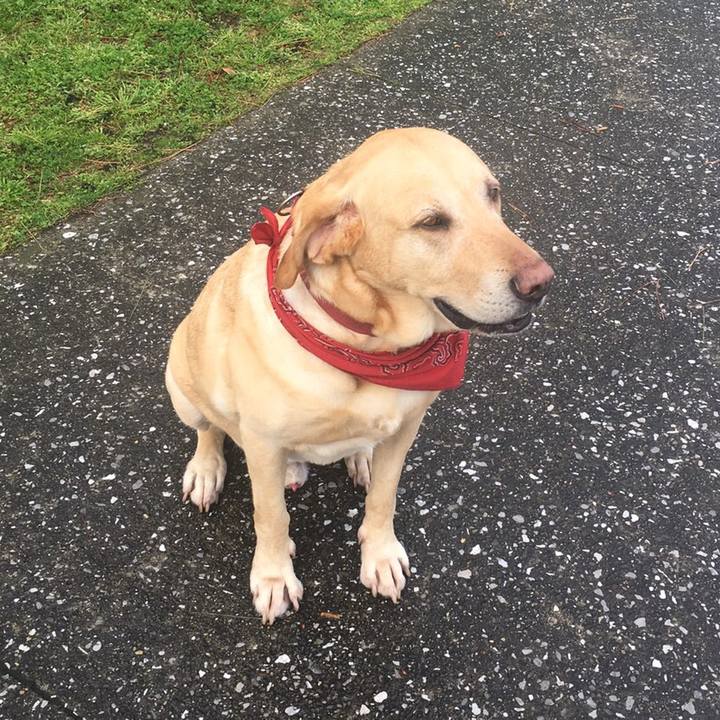 2e753d04 ec0e 42cc b6e4 93a99a70db7b