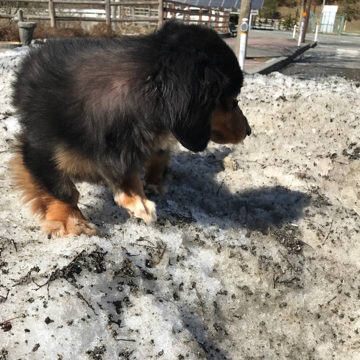 2e755432 9e1f 4550 b1a5 c67ddf5a7c7d