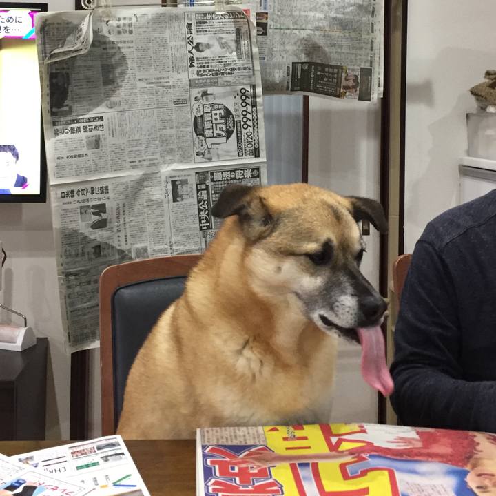 2e75ca90 15a6 4d83 bc02 ccfc0f3c10d9