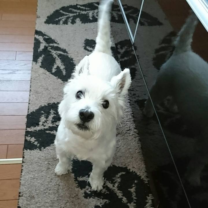 2e76085e fd3d 4021 b6a2 0887d6a1fb96