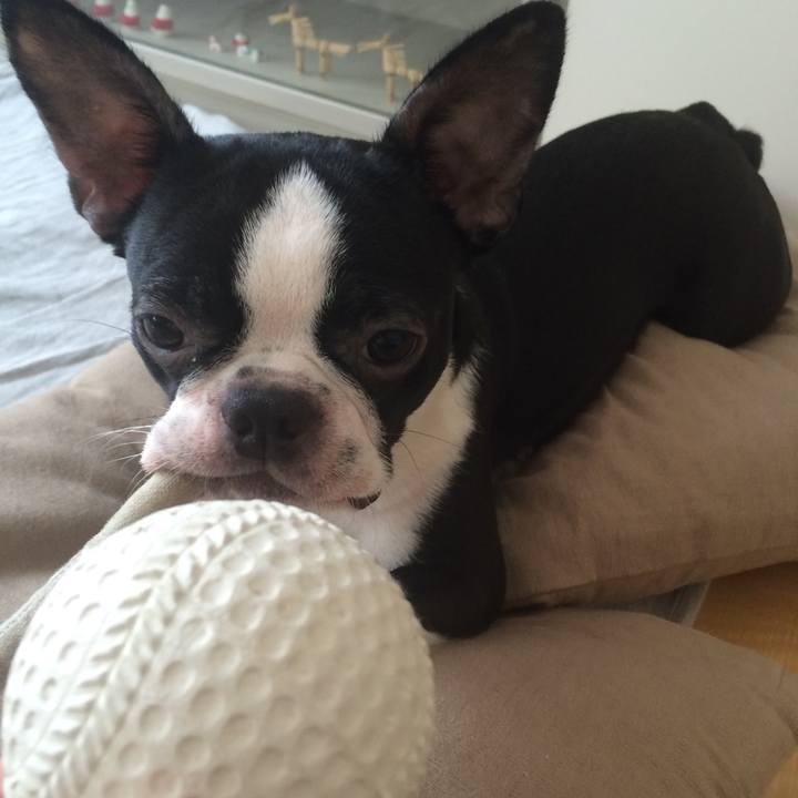 2e76868b fa81 4299 b9d5 6ef7152ae30d