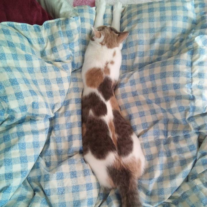 2e76b0b4 4f25 4bad a30e 64fac1475977