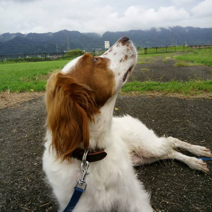 2e7750de 70cb 429a b987 8567c7cc5a10