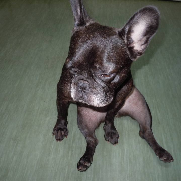 2e7813f8 bbf1 4037 8871 c59be2334535