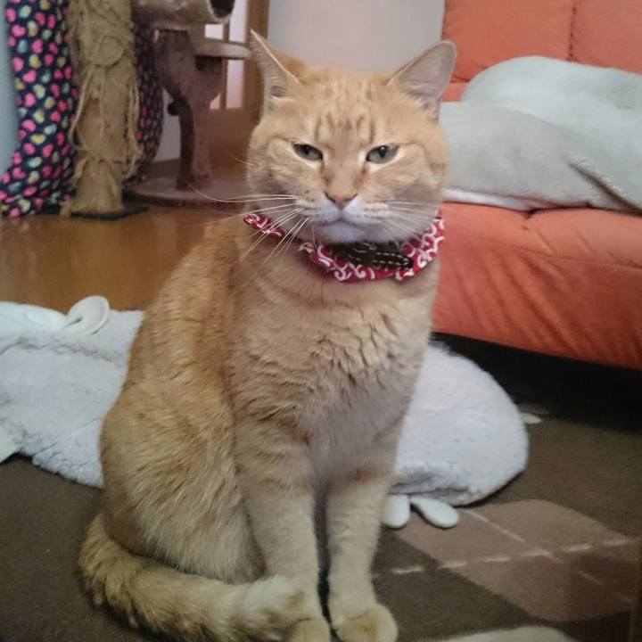 2e7860f5 a03e 461d 8300 9d1c4439094e