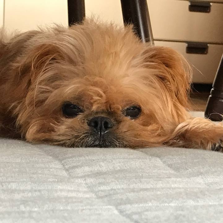 2e795b11 915c 4168 b064 85aaa06f561a