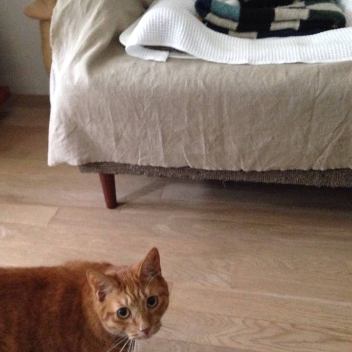 2e79e1a2 c040 40af be4e 97b0a809aa72