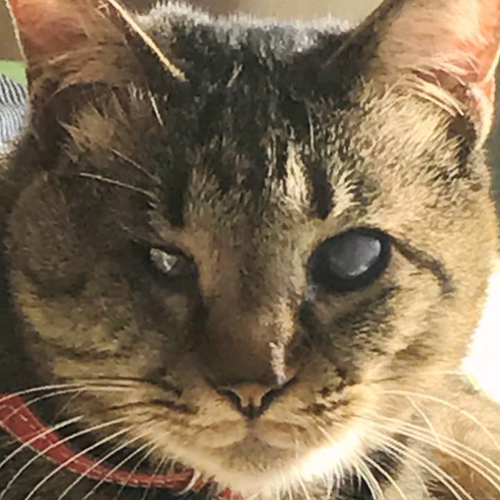 2e7a5c7c b05b 4c73 800e 22aa0528844a