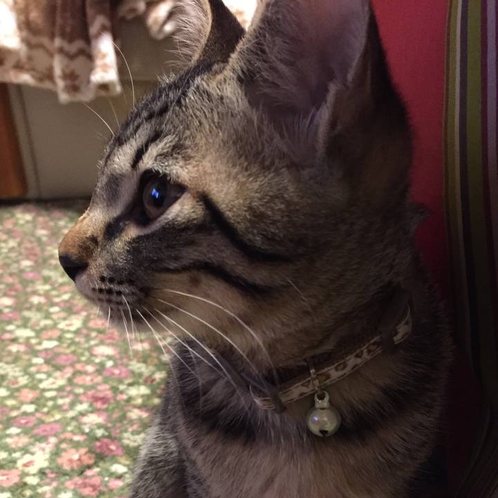 2e7a6190 cd51 4e47 9636 c78996ab162f