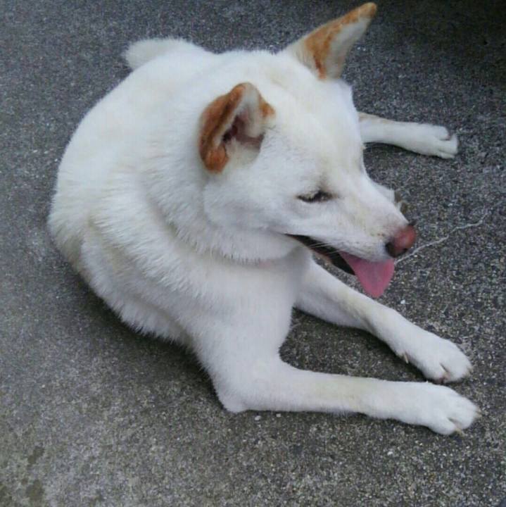 2e7a7d40 d120 4c59 99d7 0b5019a09509