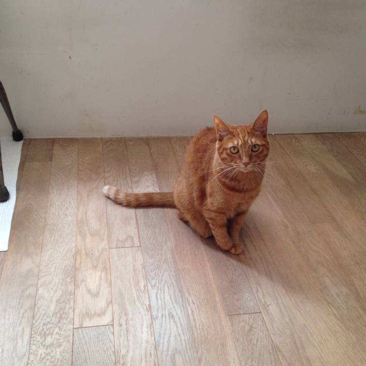 2e7b3f8f e07d 45a8 804b 1082d20a876d