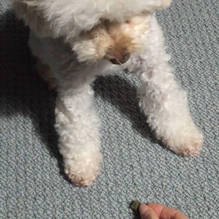 2e7c0fa4 e925 4935 a785 58f0d5eaa35a