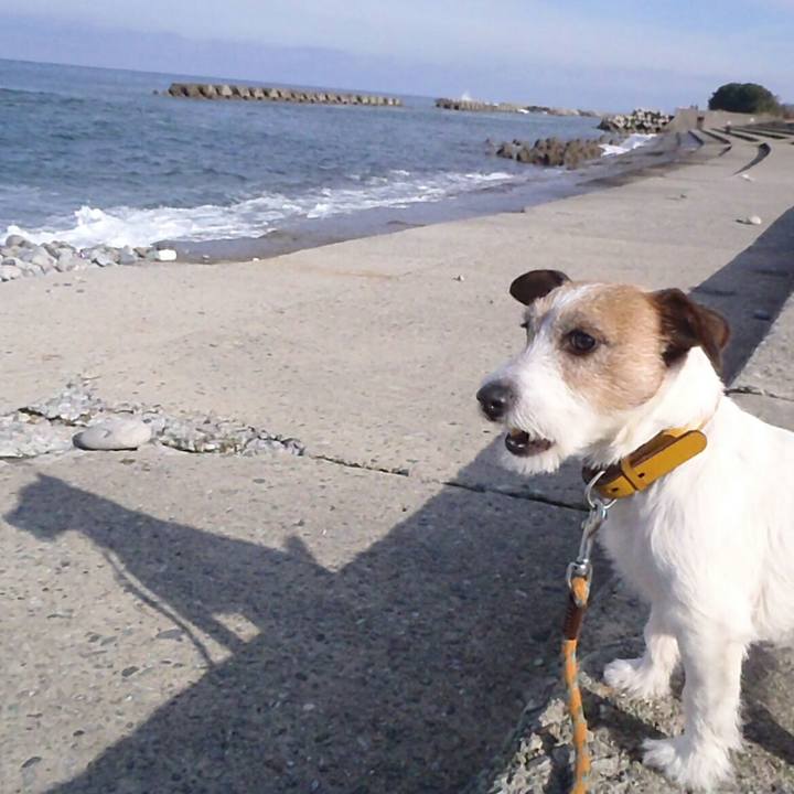 2e7c3983 9a05 4a41 87f0 8ef9bf1eeac7