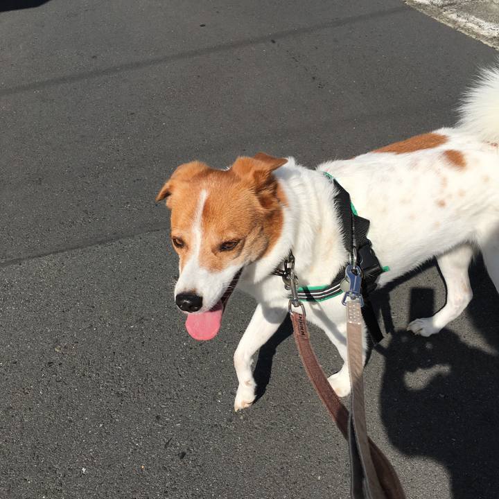 2e7d9513 9879 4a59 a7e1 b1ef8d55a352