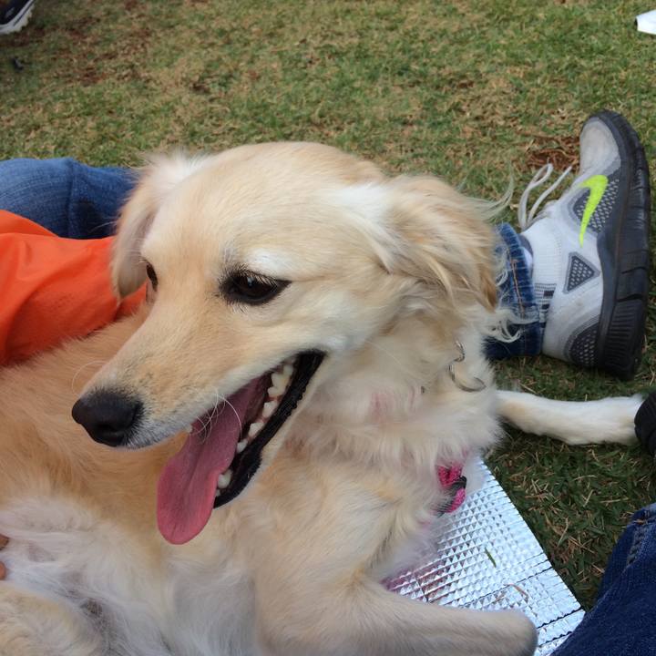 2e7dd3ad bd1b 4943 bdd5 4f89635ee516