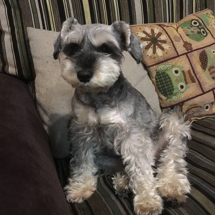 2e7e3418 37bf 4688 8760 ad091549c667