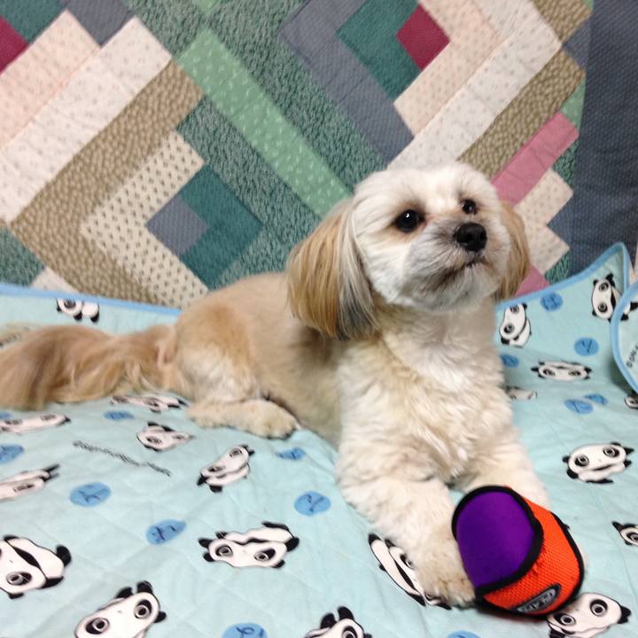 2e7e4d40 d1c2 41be 975c 898a8a102ba3