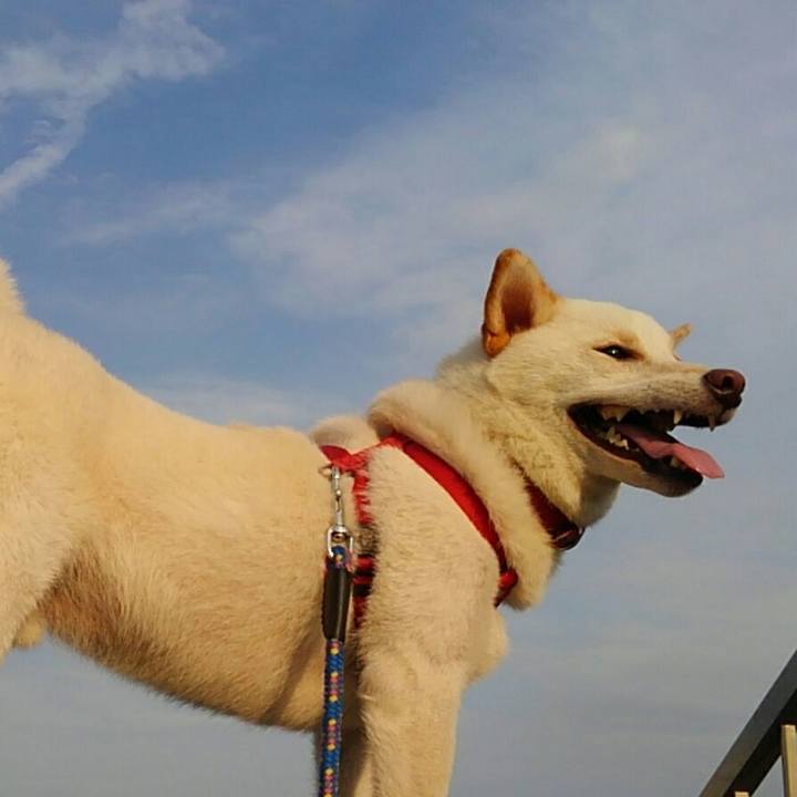 2e7e5b60 d310 457c 9c38 7119bf2d63e4