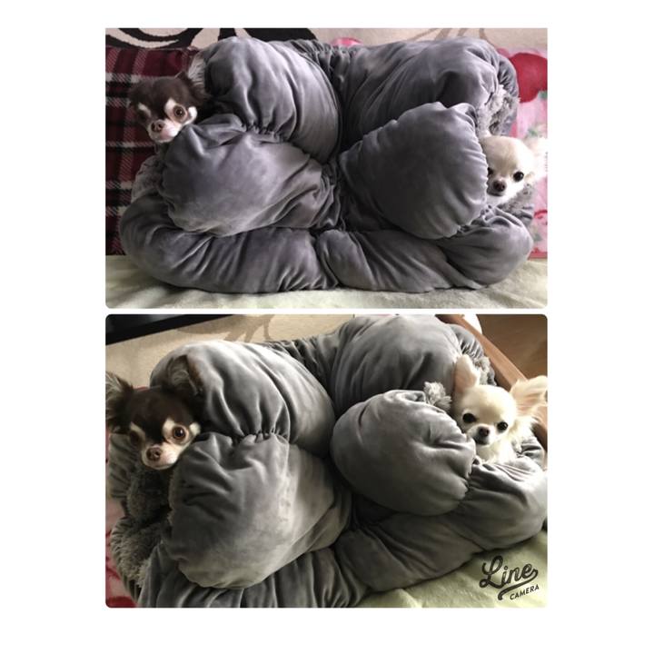 2e7e899f 13eb 4b1d b702 67c35a9c492c