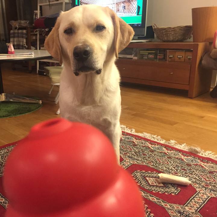 2e7f0543 e3d5 4fa8 a850 f3d57a6f5d2a