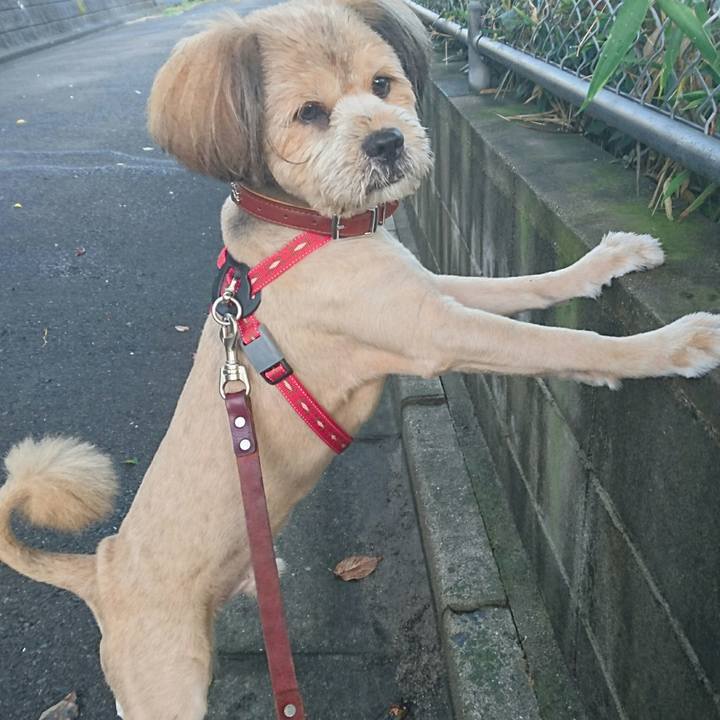 2e7f1440 0ded 42c5 a178 5f320cd006df