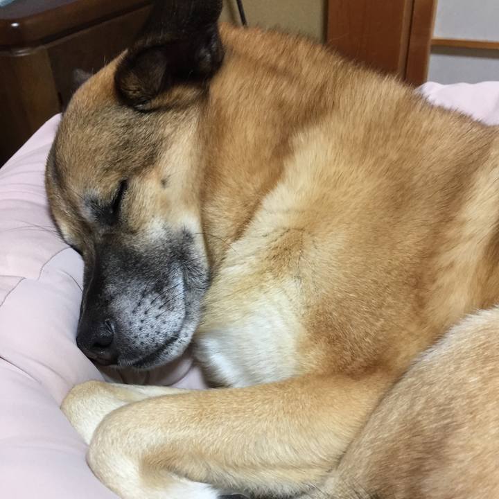 2e7f35ad 5d7e 4321 a697 7d7d99540ed2