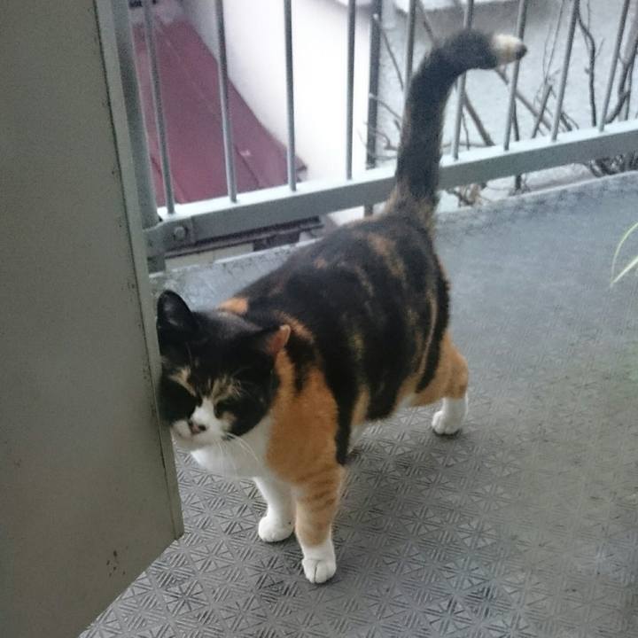 2e800c01 8d99 46c4 ad86 cbe43787a7bb