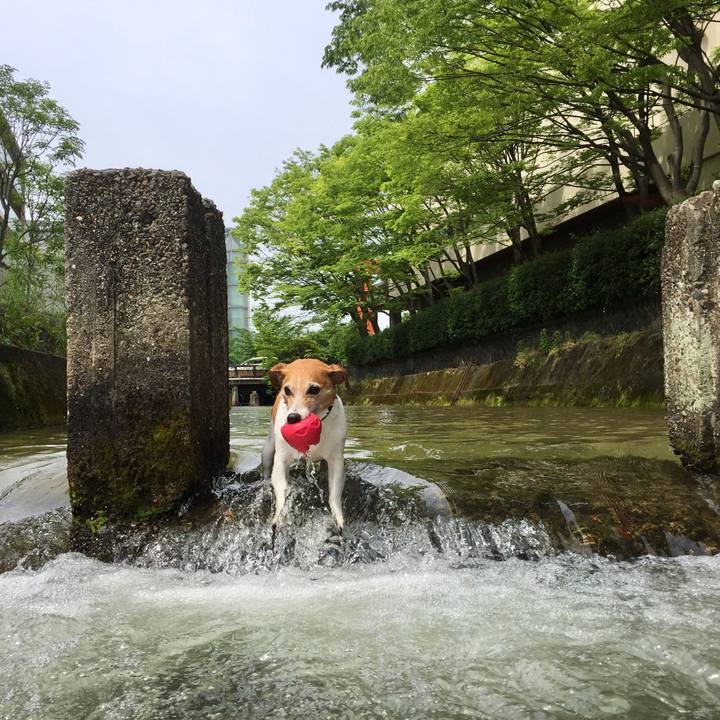 2e802f7f 36f1 4113 9402 16f8ca581a75