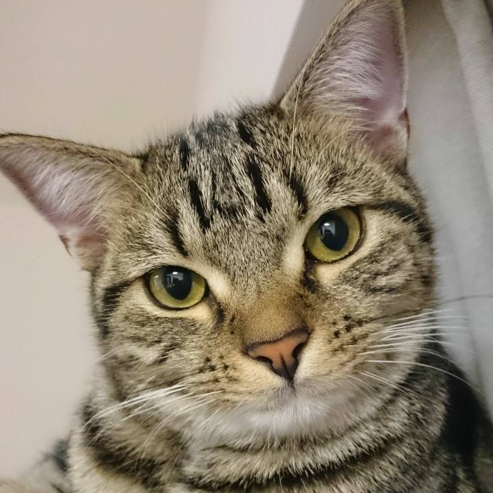 2e808696 cc84 4220 a4d6 1cb8921f3c69