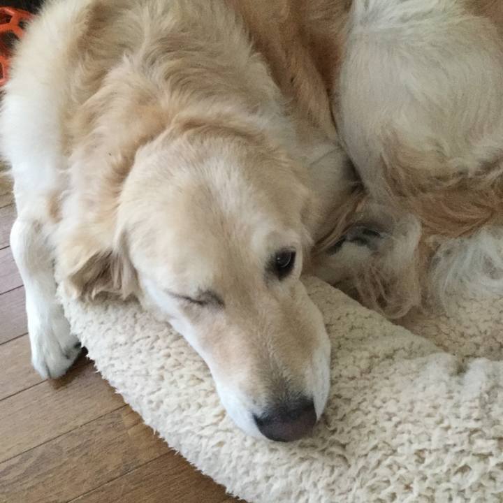 2e80c6f2 a6da 4525 8e34 610d1a4b90ae