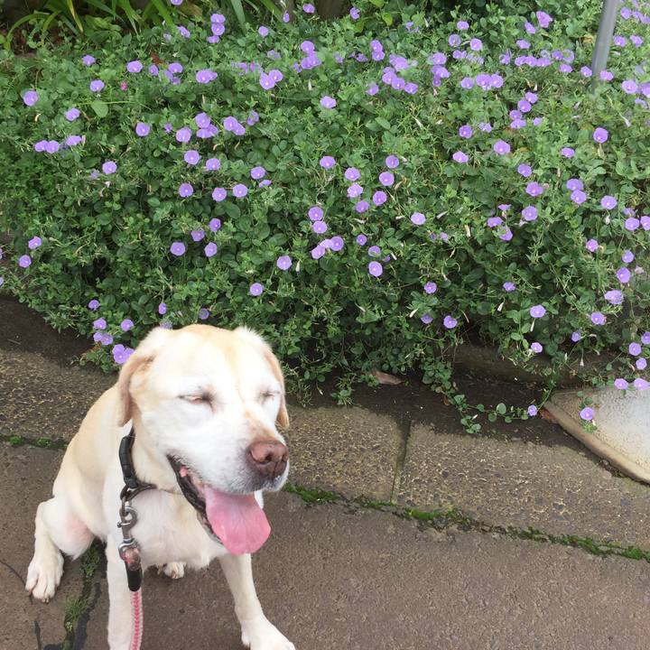 2e80e27a c4a8 43ab 8208 c1ce853330d9